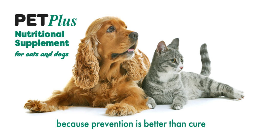 Exemple de PET Plus